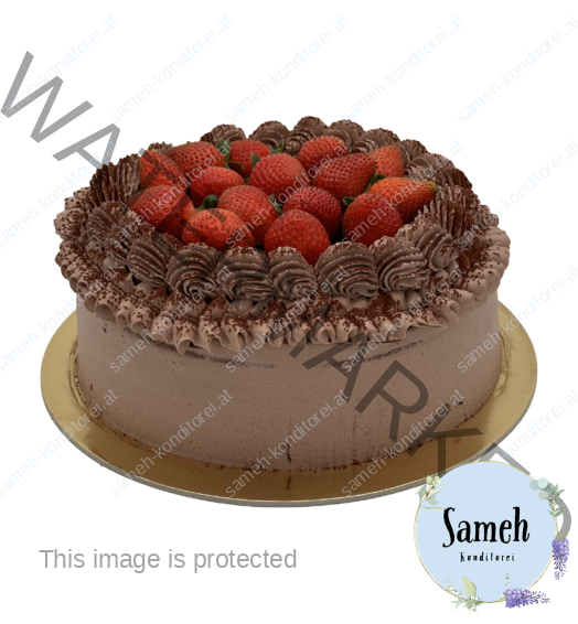 celebration cake-B8